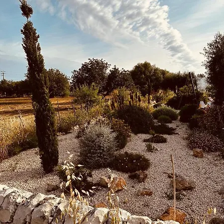 Holiday home La Casetta Vecchia - Romantisches Tinyhouse Fur Paare Scicli
