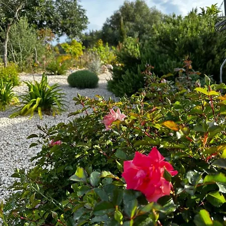 Holiday home La Casetta Vecchia - Romantisches Tinyhouse Fur Paare